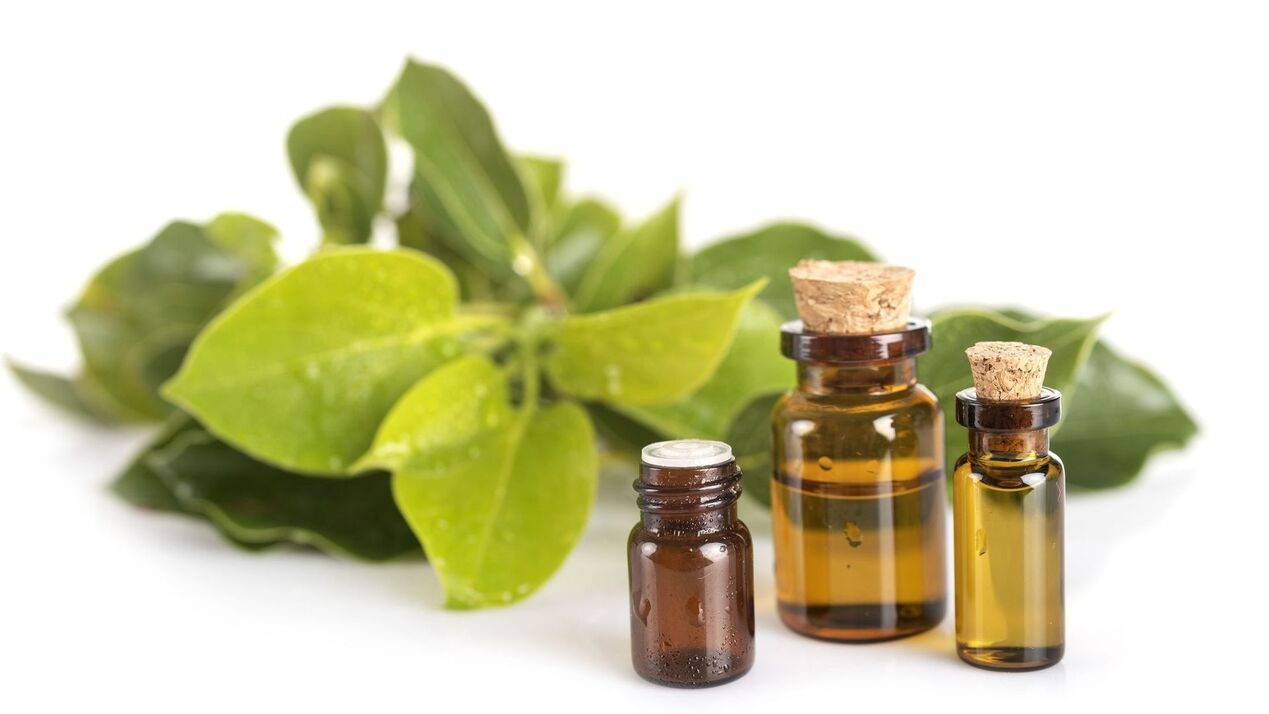 Extract de camphore în hondroine gel